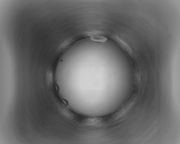 X0000111040117200907021607