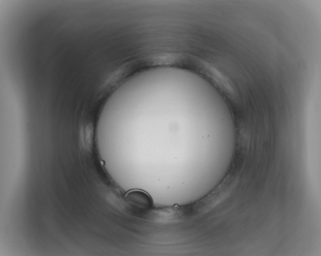 X0000111040118200907021607