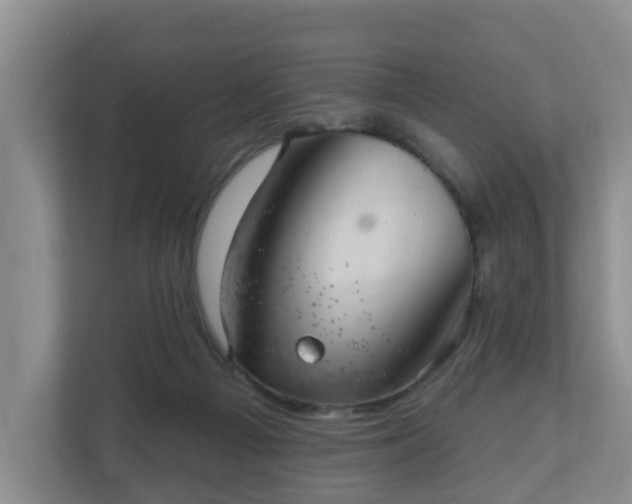 X0000111040121200907021607