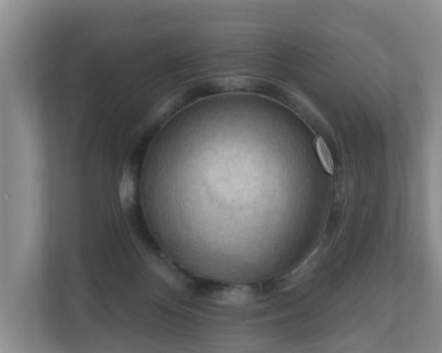X0000111040124200907021606