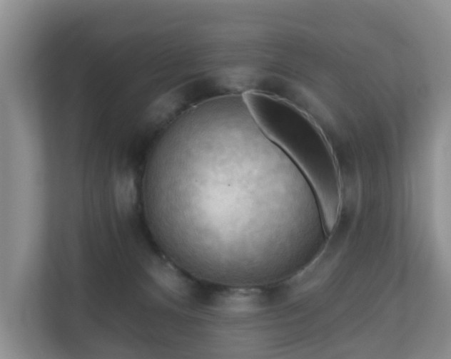 X0000111040128200907021606