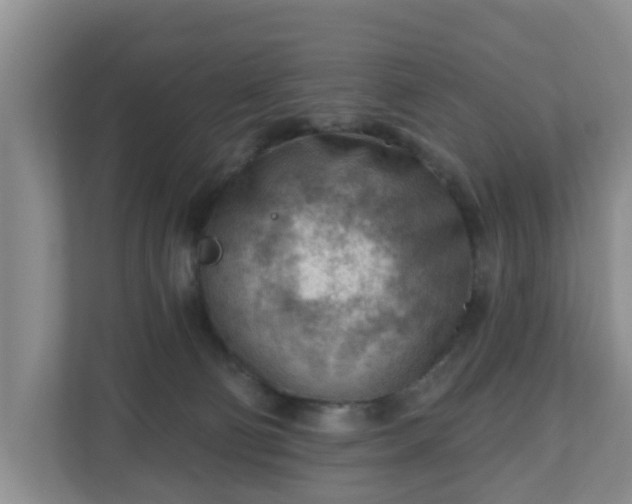 X0000111040130200907021606