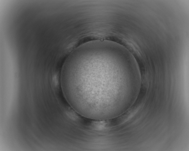 X0000111040131200907021606