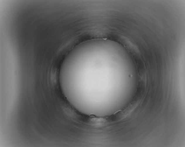 X0000111040133200907021606