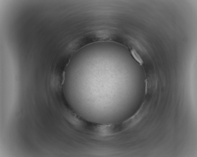 X0000111040136200907021606