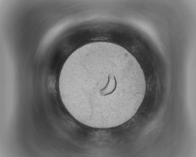 X0000111040146200907021606