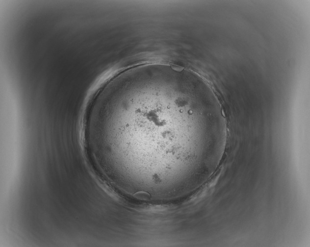 X0000111040149200907021606