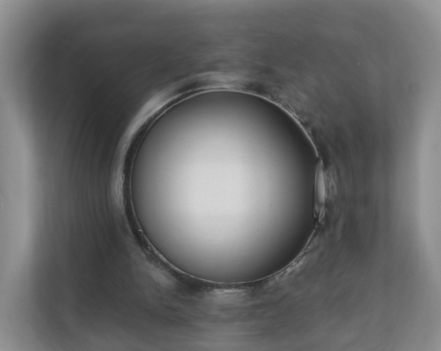 X0000111040150200907021606