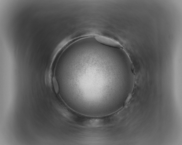X0000111040152200907021606