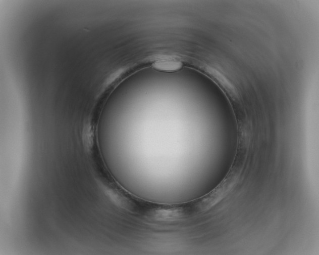X0000111040160200907021606