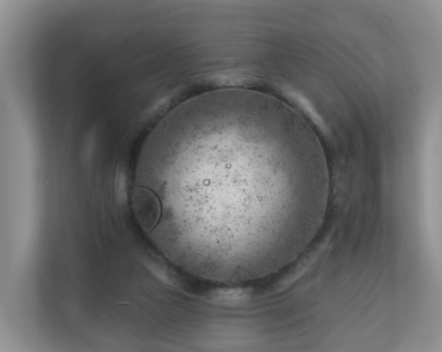 X0000111040161200907021606