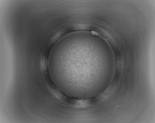 X0000111040168200907021606