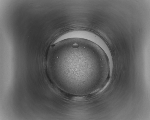 X0000111040170200907021606