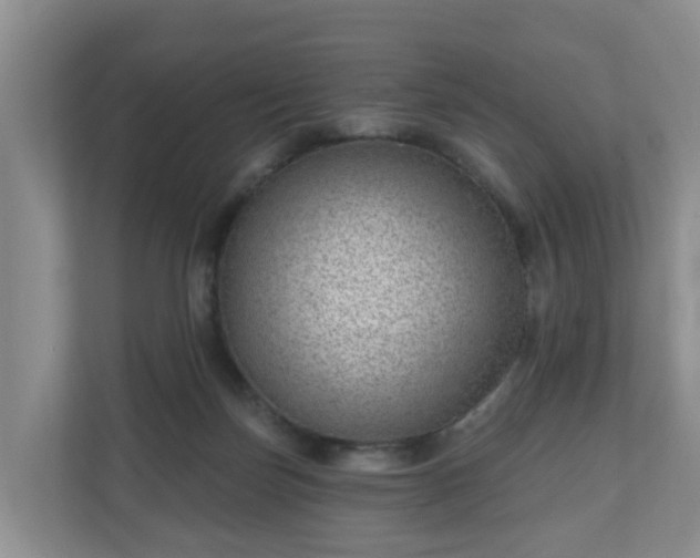 X0000111040171200907021606