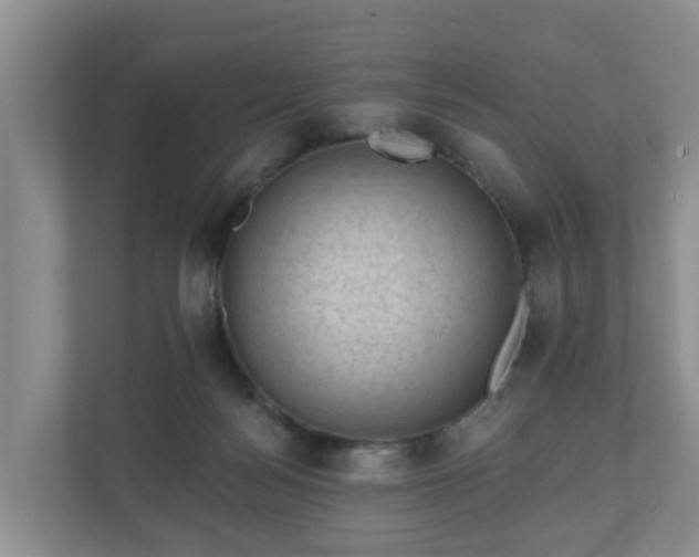 X0000111040172200907021606