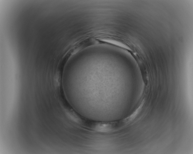 X0000111040174200907021606
