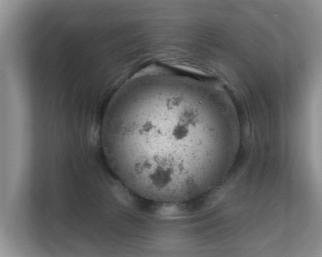 X0000111040177200907021606