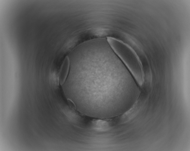 X0000111040180200907021606