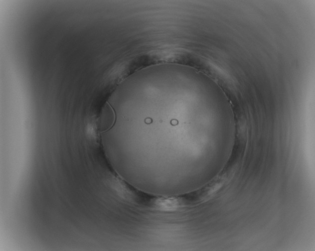 X0000111040181200907021606