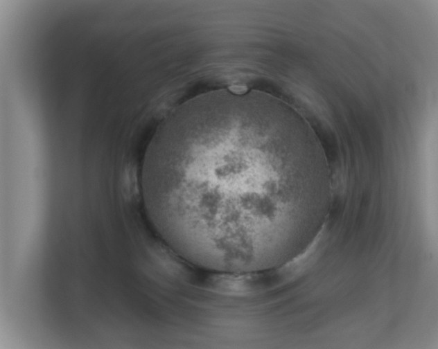 X0000111040182200907021606