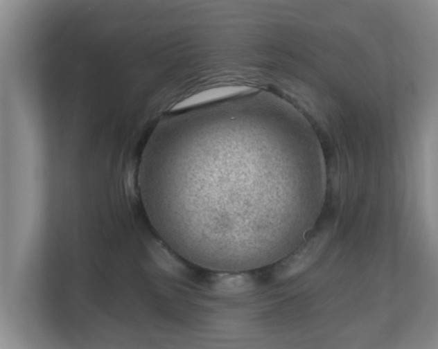 X0000111040185200907021606