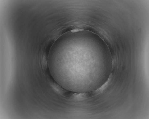 X0000111040186200907021606
