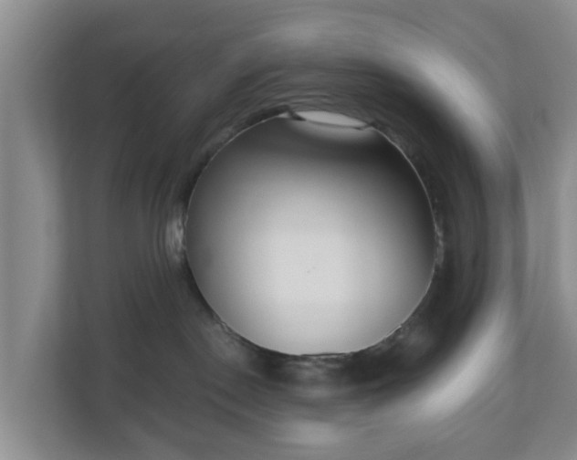 X0000111040190200907021606