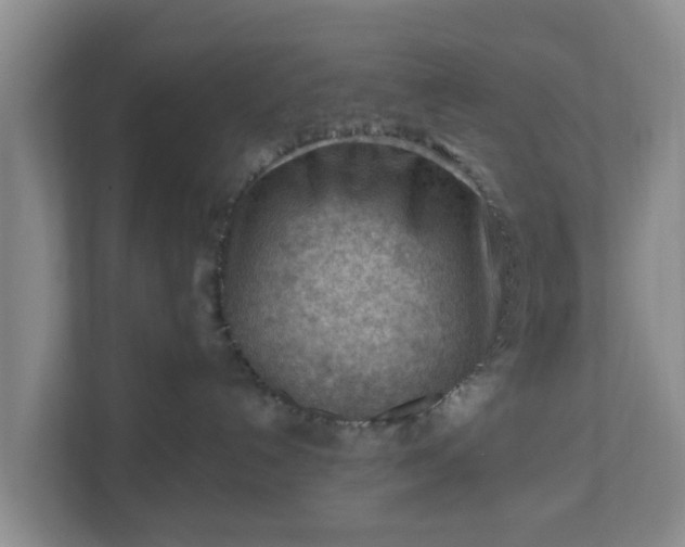 X0000111040192200907021606