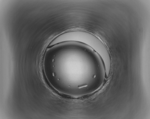 X0000111040193200907021605