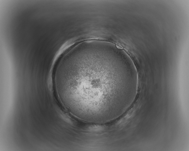 X0000111040198200907021605