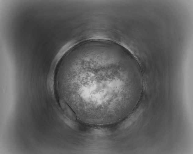 X0000111040199200907021605