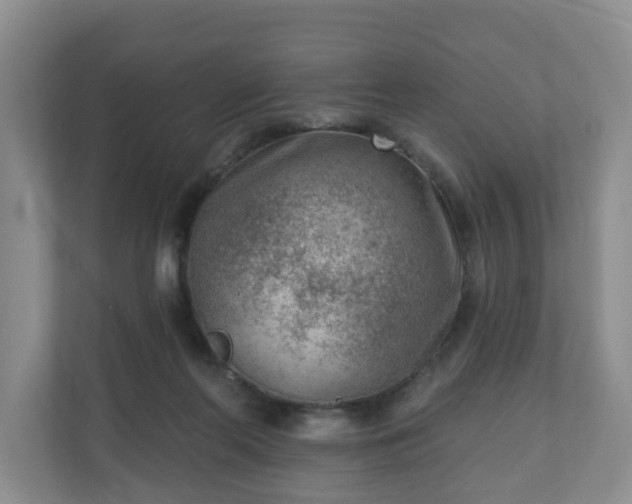 X0000111040214200907021605