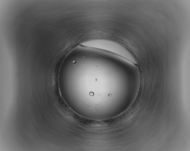 X0000111040215200907021605