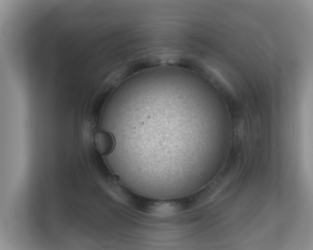 X0000111040218200907021605