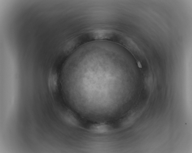 X0000111040219200907021605