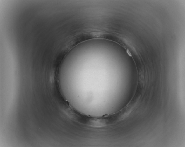 X0000111040221200907021605