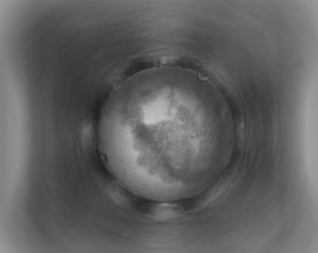 X0000111040222200907021605