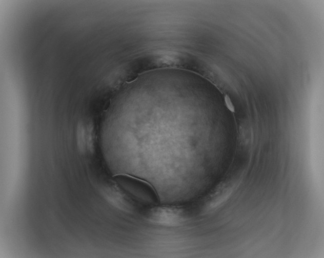 X0000111040223200907021605