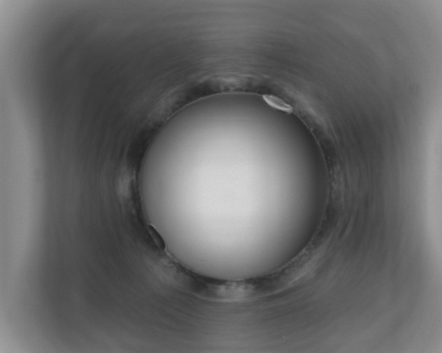 X0000111040225200907021605