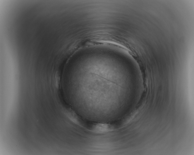 X0000111040227200907021605