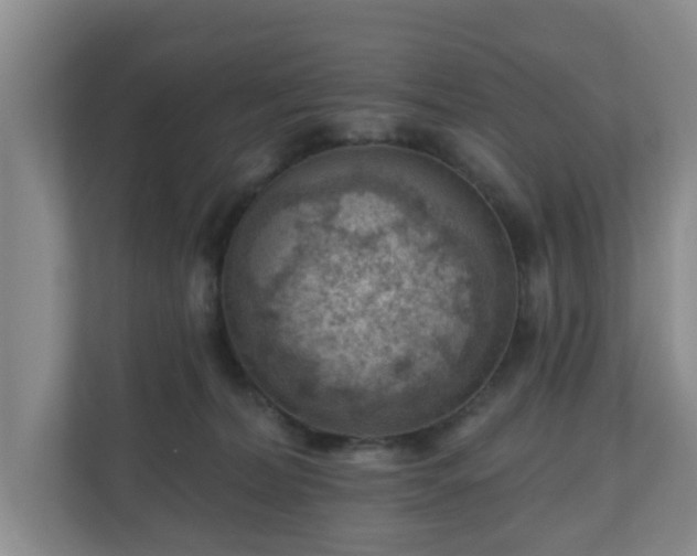 X0000111040228200907021605
