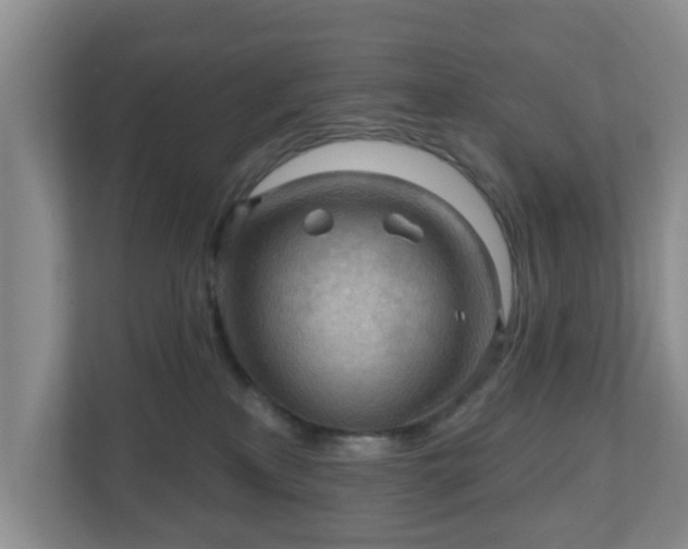X0000111040233200907021605