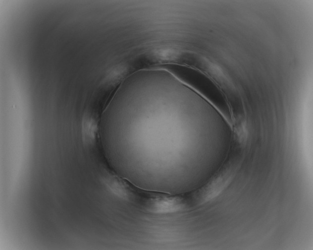 X0000111040235200907021605
