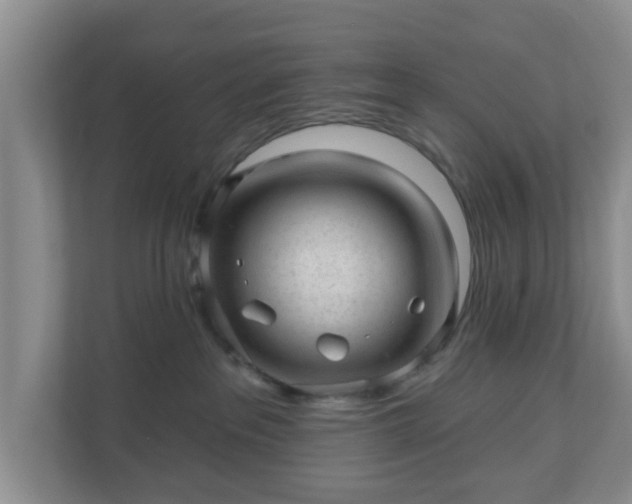X0000111040237200907021605