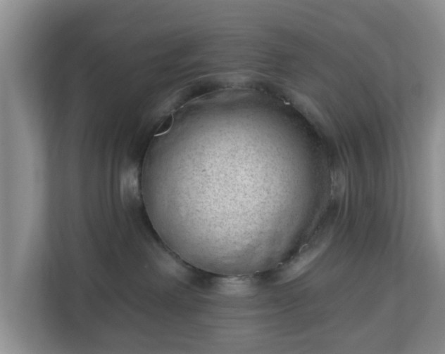 X0000111040238200907021605