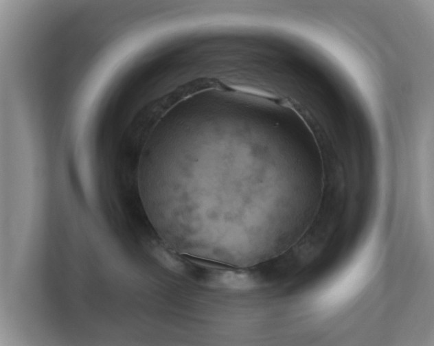 X0000111040239200907021605