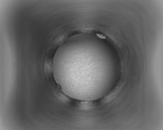 X0000111040240200907021605