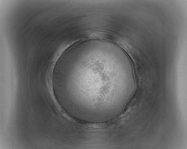 X0000111040241200907021604