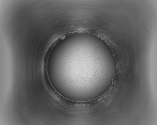 X0000111040242200907021604
