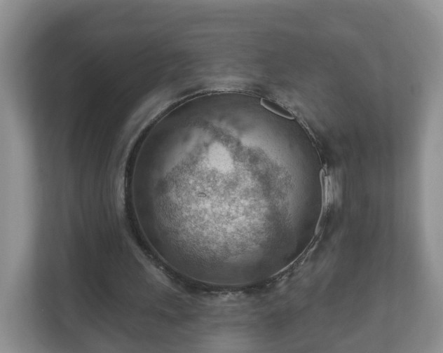 X0000111040243200907021604
